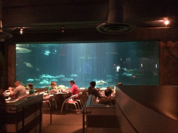 Restaurante Shark