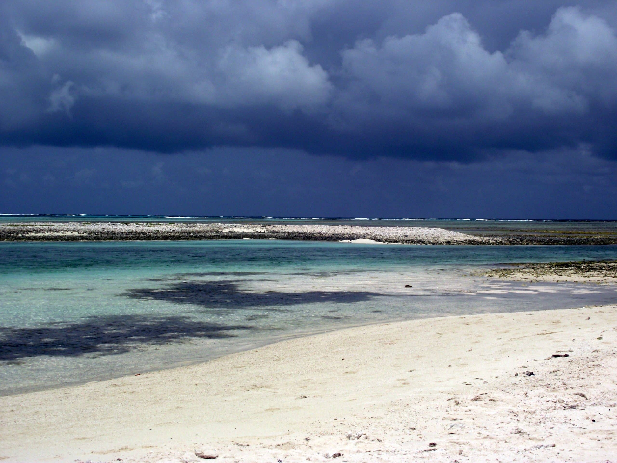 as ilha de los roques na venezuela