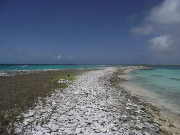 los roques 14 211