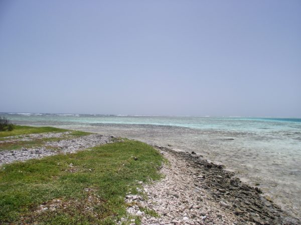 los roques 14 290