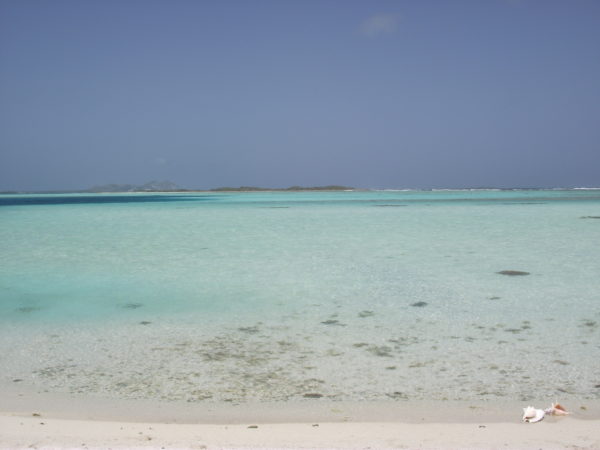 los roques 14 294