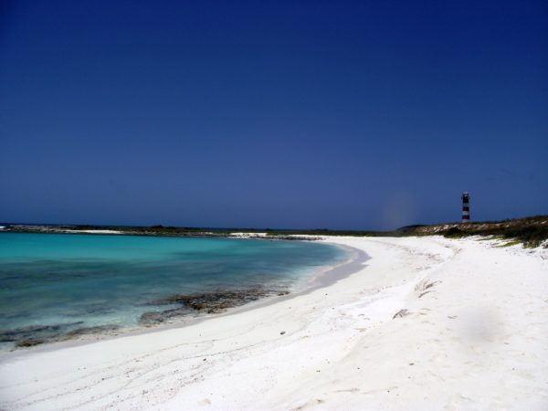 indo no farol