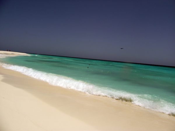 los roques 14 319