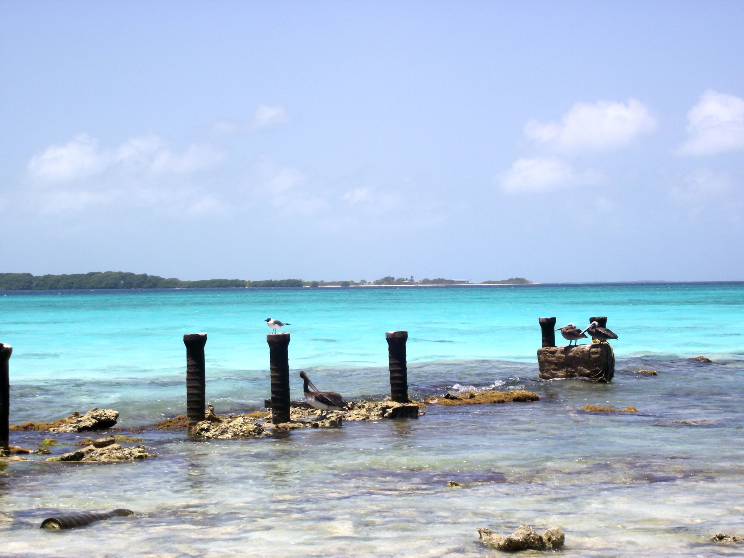 as ilha de los roques na venezuela