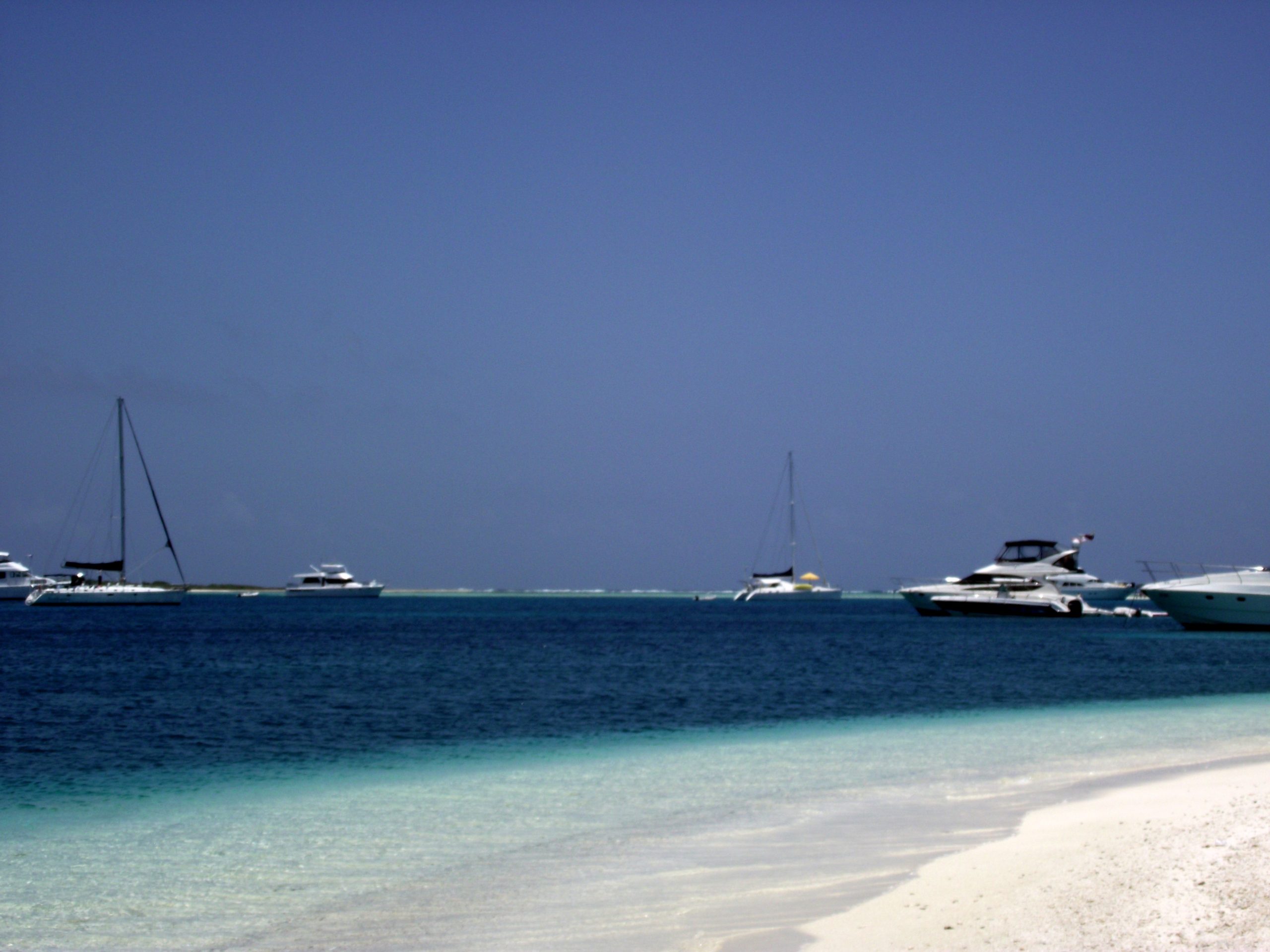 as ilha de los roques na venezuela