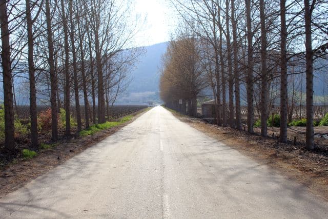 Valle Maipo e Vinicola Tarapaca Ex Zavala