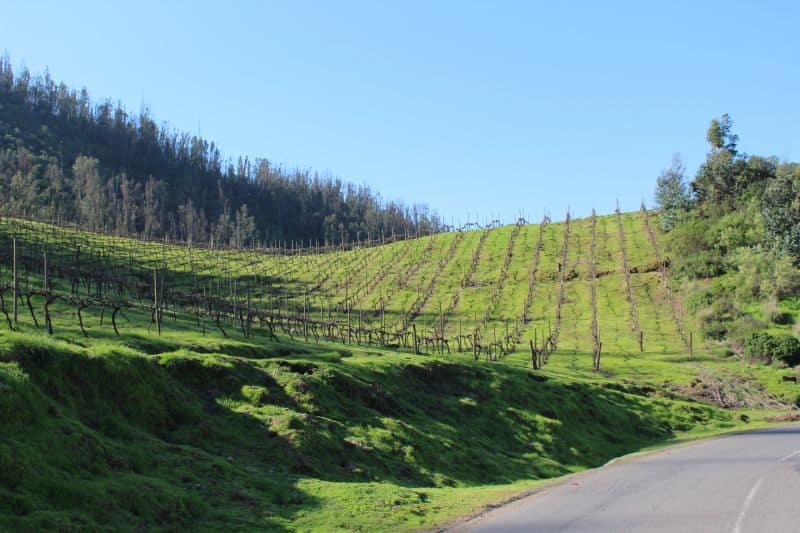 Valle Maipo e Vinicola Tarapaca Ex Zavala