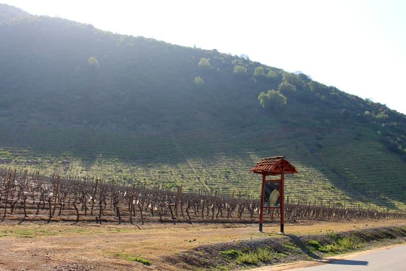 Valle Maipo e Vinicola Tarapaca Ex Zavala