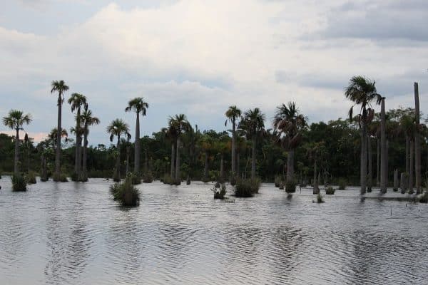 CHAPADA E NOBRES MATO GROSSO 870