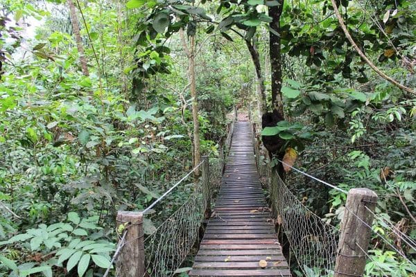 Passando por pontes de madeira ...