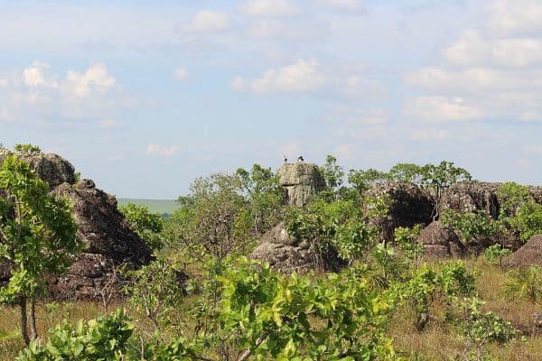 CHAPADA E NOBRES MATO GROSSO 680