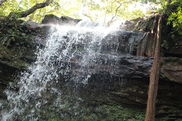 CHAPADA E NOBRES MATO GROSSO 688