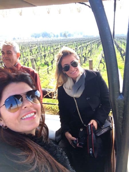 viu manent valle de colchagua chile