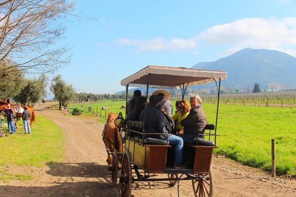 viu manent valle de colchagua chile