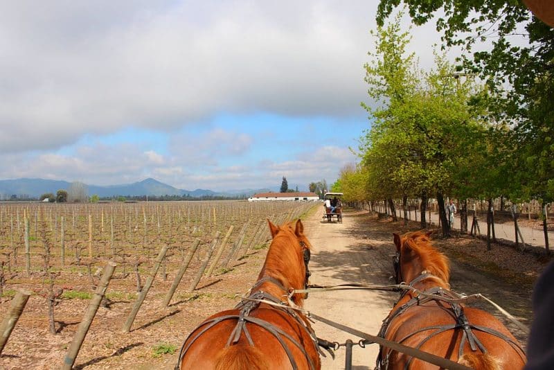 Vinícola Viu Manent, Vale Colchagua