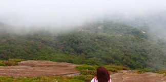 Monte Verde Minas Gerais