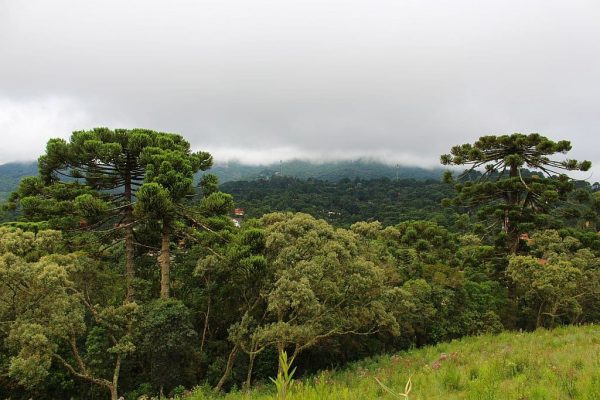 Monte Verde, Minas Gerais