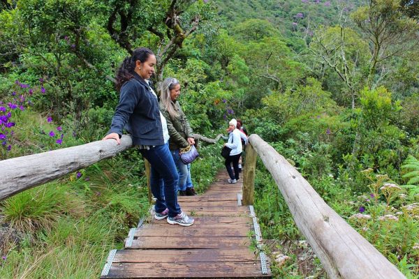 Monte Verde Minas Gerais