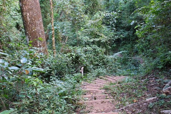 A DESCIDA PARA CACHOEIRA 