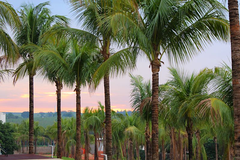 Celebration-resort-águas-termais