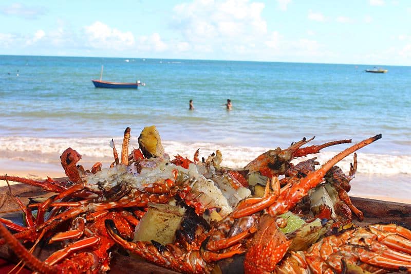 Praia-do-Forte-na-bahia