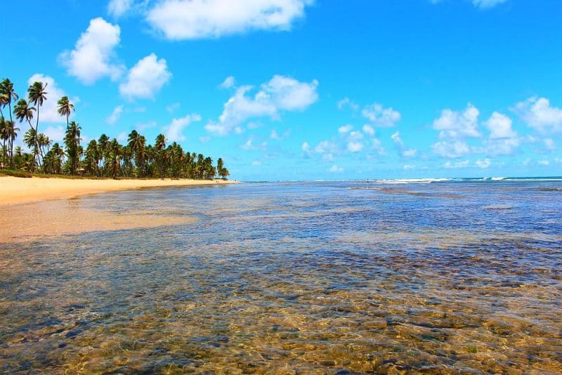 Praia-do-Forte-na-bahia