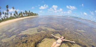 Praia do Forte na Bahia