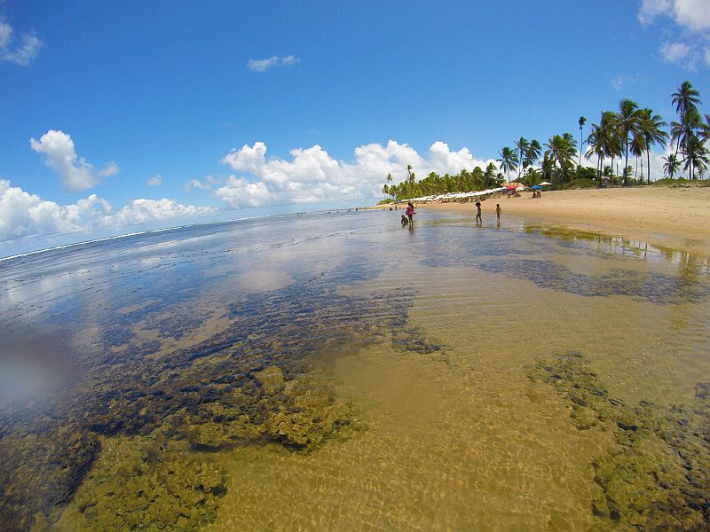 Praia-do-Forte-na-bahia