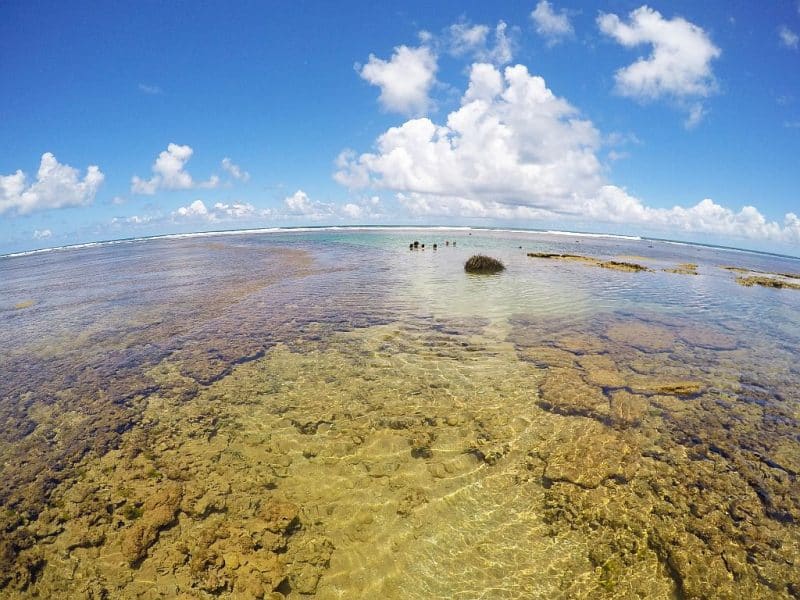 Praia-do-Forte-na-bahia