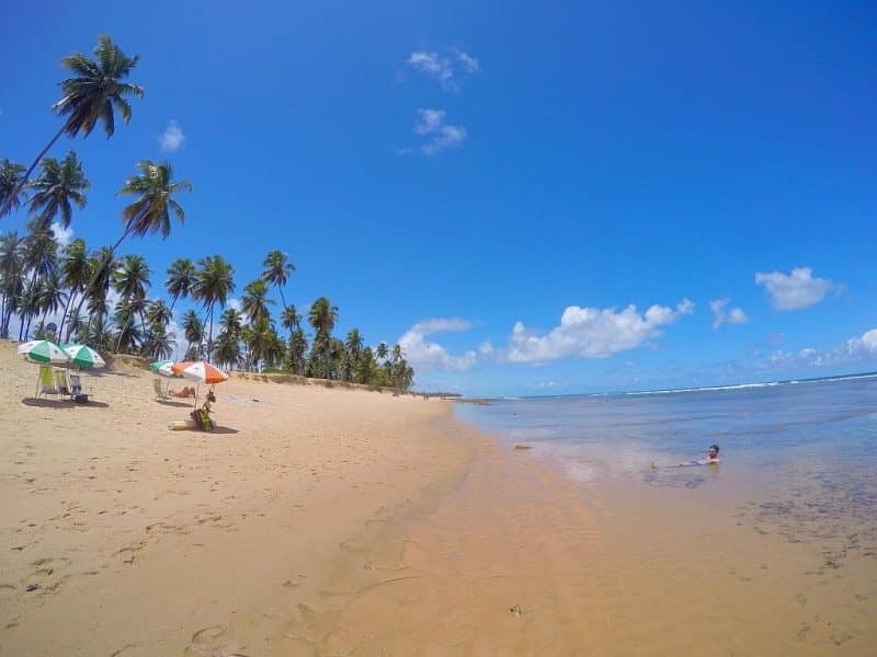 Praia-do-Forte-na-bahia