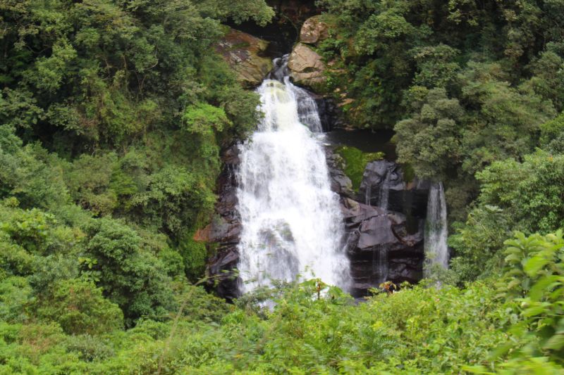 Trem-de-luxo-Litorina-Serra-Verde-Express