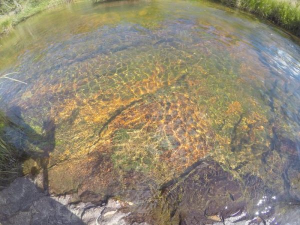 Paraíso Perdido em Capitólio