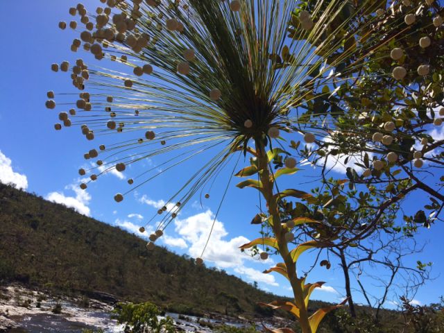 cataratas-dos-couros-chapada-dos-veadeiros 