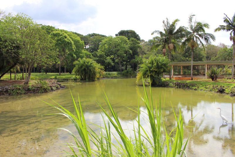 Tauá Grande Hotel Termas de Araxá