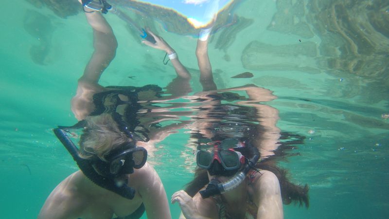 guia de ilha grande 