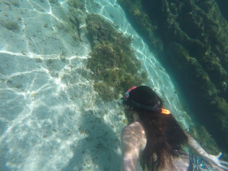 passeio meia volta a ilha em ilha grande