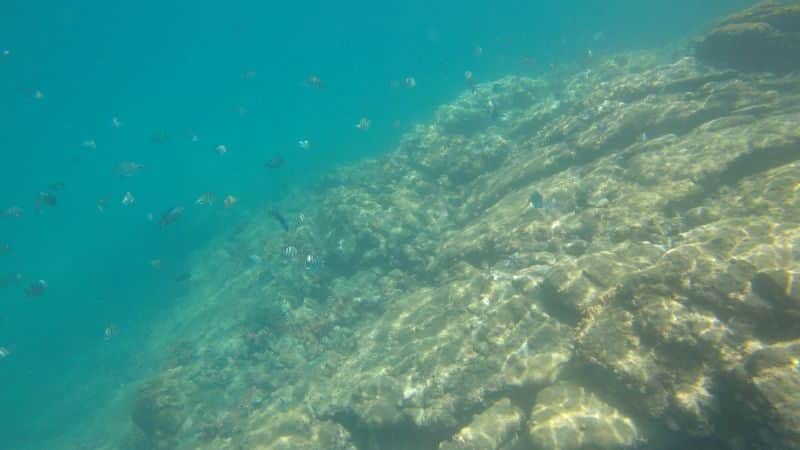 passeio meia volta a ilha em ilha grande