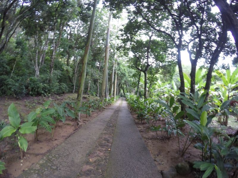 melhores praias de são sebastião-calhetas