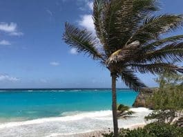 wimoweh barbados wimoweh barbados