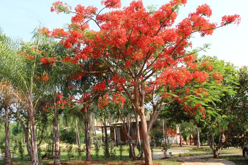 Villa do Comendador, Pousada em Pirenópolis 46