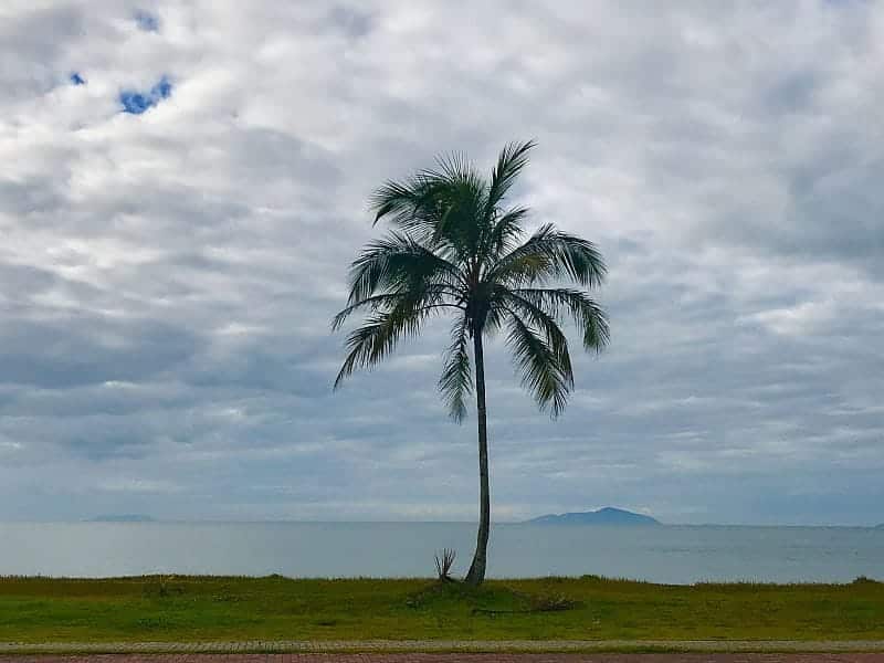 As praias de Ubatuba 7