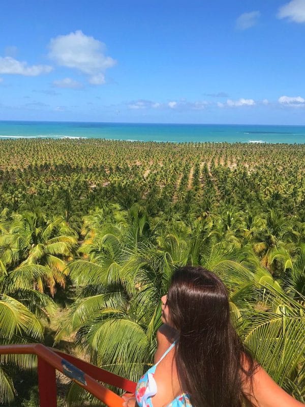 Gungaporanga hotel em Barra de São Miguel