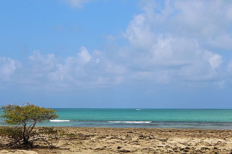 o que fazer em Maceió