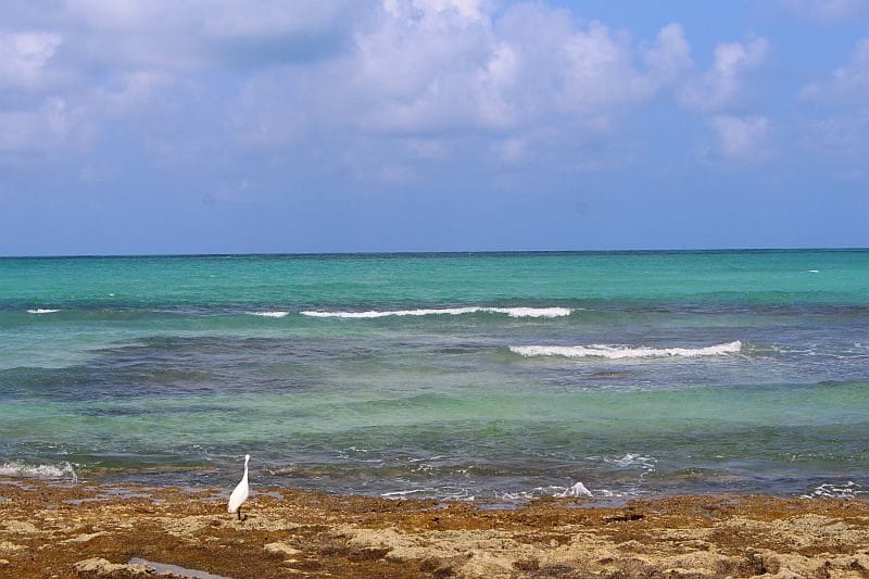 Pontal dos Carneiros Pernambuco 21