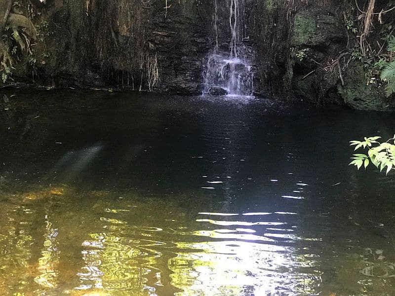 Roteiro de 03 dias na Chapada dos Veadeiros 10