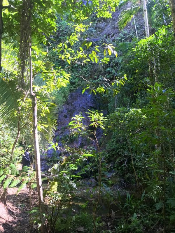 Hotel Fazenda Tabapuã dos Pireneus 51