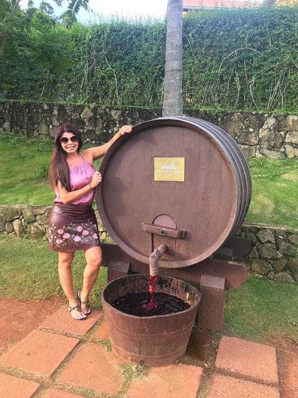 Roteiro do Vinho em São Roque