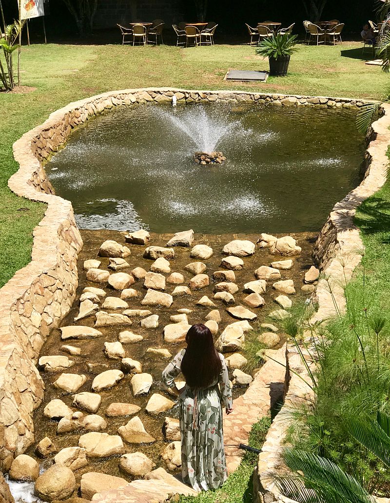 Roteiro do Vinho em São Roque