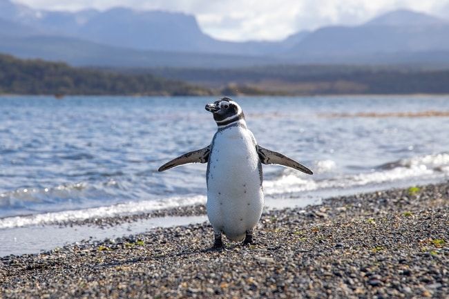 ferias de inverno na Argentina