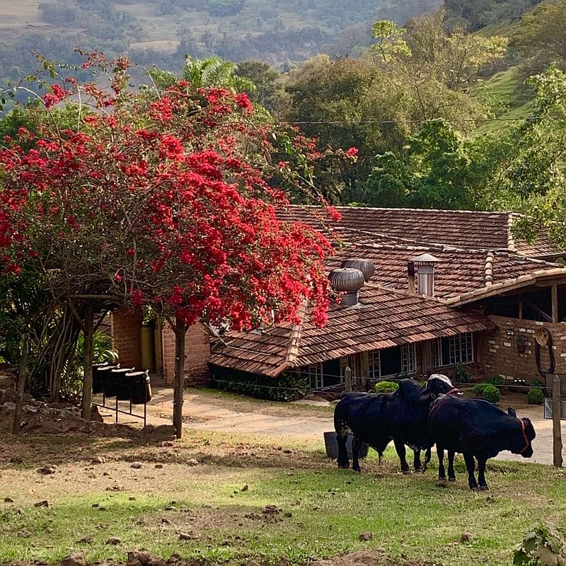 Hotel fazenda Cachoeiras da Furna em São Pedro